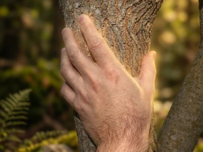 Main posée sur un tronc d'arbre